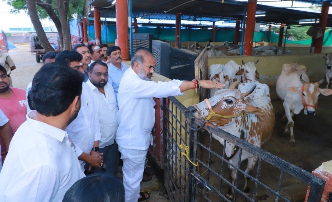 కోడెల సంరక్షణలో నిర్లక్ష్యానికి తావులేదు